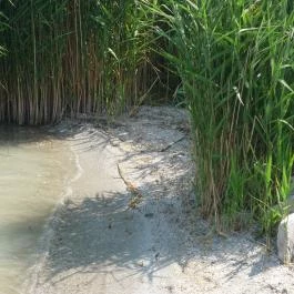 Residence Hotel Balaton, Siófok - Környék