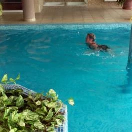 Kehida Family Resort Kehidakustány - Wellness