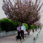 Hotel Európa Gunaras Dombóvár - Környék