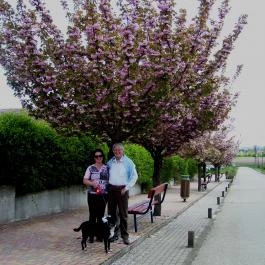 Hotel Európa Gunaras Dombóvár - Környék