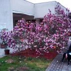 Hotel Európa Gunaras Dombóvár - Környék