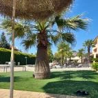 Belenus Thermalhotel Zalakaros - Medence/kert