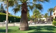 Belenus Thermalhotel, Zalakaros