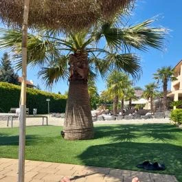 Belenus Thermalhotel, Zalakaros - Medence/kert