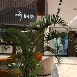 Tisia Hotel & Spa Tiszaújváros - Belső