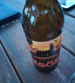 Hegyalja Vendéglő Panzió