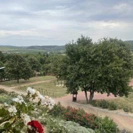 Rózsapark Vendégház Demjén - Egyéb