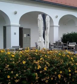 Pausa Apátsági Kávéház