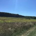 Ibolya Vendégház Tés - Környék