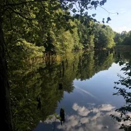 Ibolya Vendégház Tés - Környék