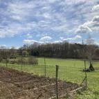 Molnár Vendégház Babosdöbréte - Külső kép