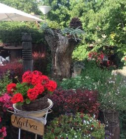 Muskátli Vendéglő 