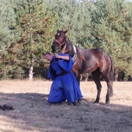 Bodrogi Kúria Wellness Hotel, Inárcs - Környék