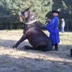 Bodrogi Kúria Wellness Hotel Inárcs - Egyéb