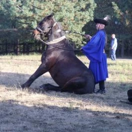 Bodrogi Kúria Wellness Hotel, Inárcs - Egyéb