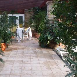 Nyerges Hotel Termál Monor - Medence/kert