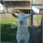 Zichy Park Hotel Bikács - Környék