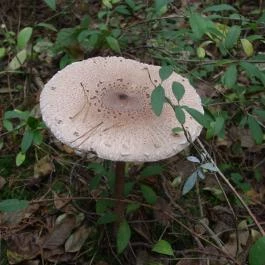 Zichy Park Hotel Bikács - Környék