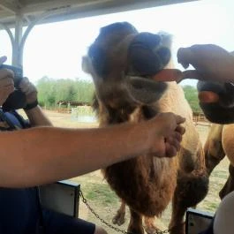 Richter Safari Park Nagykőrös - Egyéb