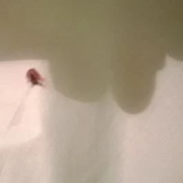 Jázmin Panzió Gyula - Egyéb