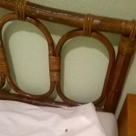 Jázmin Panzió Gyula - Egyéb