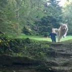 Sibrik Kastélyszálló Bozsok - Egyéb