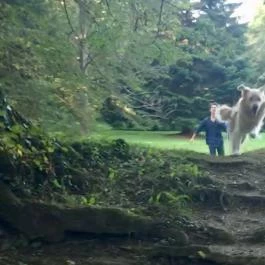 Sibrik Kastélyszálló, Bozsok - Egyéb