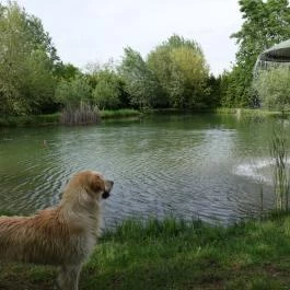 Grante Hotel Esztergom - Környék