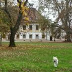 Új-Ebergényi Kastélyszálló Vasszécseny - Külső kép