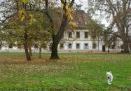 Új-Ebergényi Kastélyszálló Vasszécseny