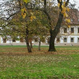 Új-Ebergényi Kastélyszálló Vasszécseny - Külső kép