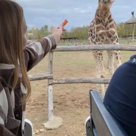 Richter Safari Park Nagykőrös - Egyéb