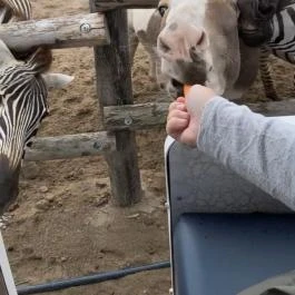 Richter Safari Park Nagykőrös - Egyéb