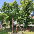 1956-os emlékmű Békéscsaba - Egyéb