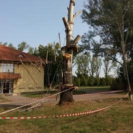 Alföld Gyöngye Hotel, Orosháza - Egyéb