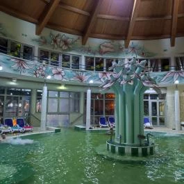 Aquarius Élmény- és Parkfürdő Nyíregyháza - Egyéb