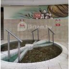 Aquarius Élmény- és Parkfürdő Nyíregyháza - Egyéb