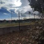 Attila szobra Sopron - Egyéb