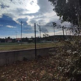 Attila szobra Sopron - Egyéb