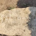 Bábolnai Arborétum & Állatpark Bábolna - Egyéb