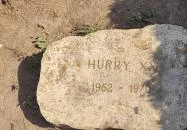 Bábolnai Arborétum & Állatpark Bábolna