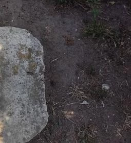 Bábolnai Arborétum & Állatpark