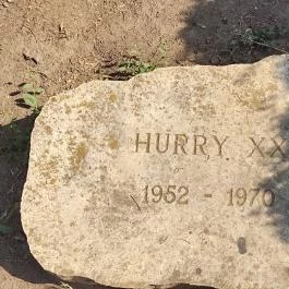 Bábolnai Arborétum & Állatpark, Bábolna - Egyéb