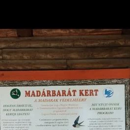 Bábolnai Arborétum & Állatpark, Bábolna - Egyéb