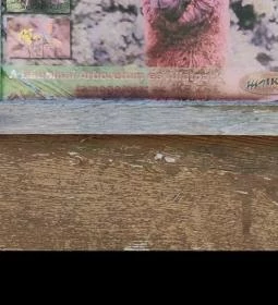 Bábolnai Arborétum & Állatpark