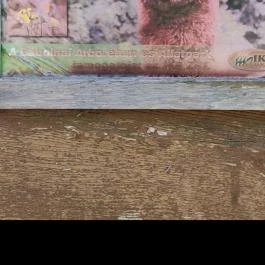 Bábolnai Arborétum & Állatpark, Bábolna - Egyéb