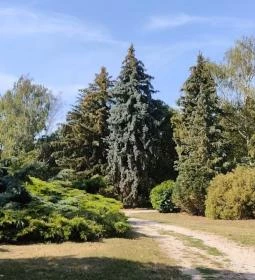 Bábolnai Arborétum & Állatpark