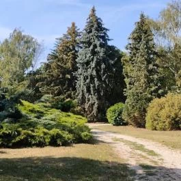 Bábolnai Arborétum & Állatpark, Bábolna - Egyéb