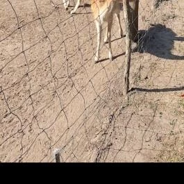 Bábolnai Arborétum & Állatpark, Bábolna - Egyéb