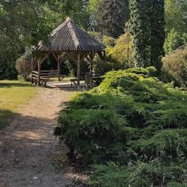 Bábolnai Arborétum & Állatpark, Bábolna - Egyéb